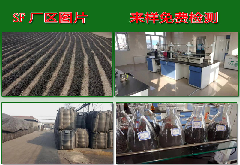 ����̿�S�ң�ú�|(zh��)����̿���������̿